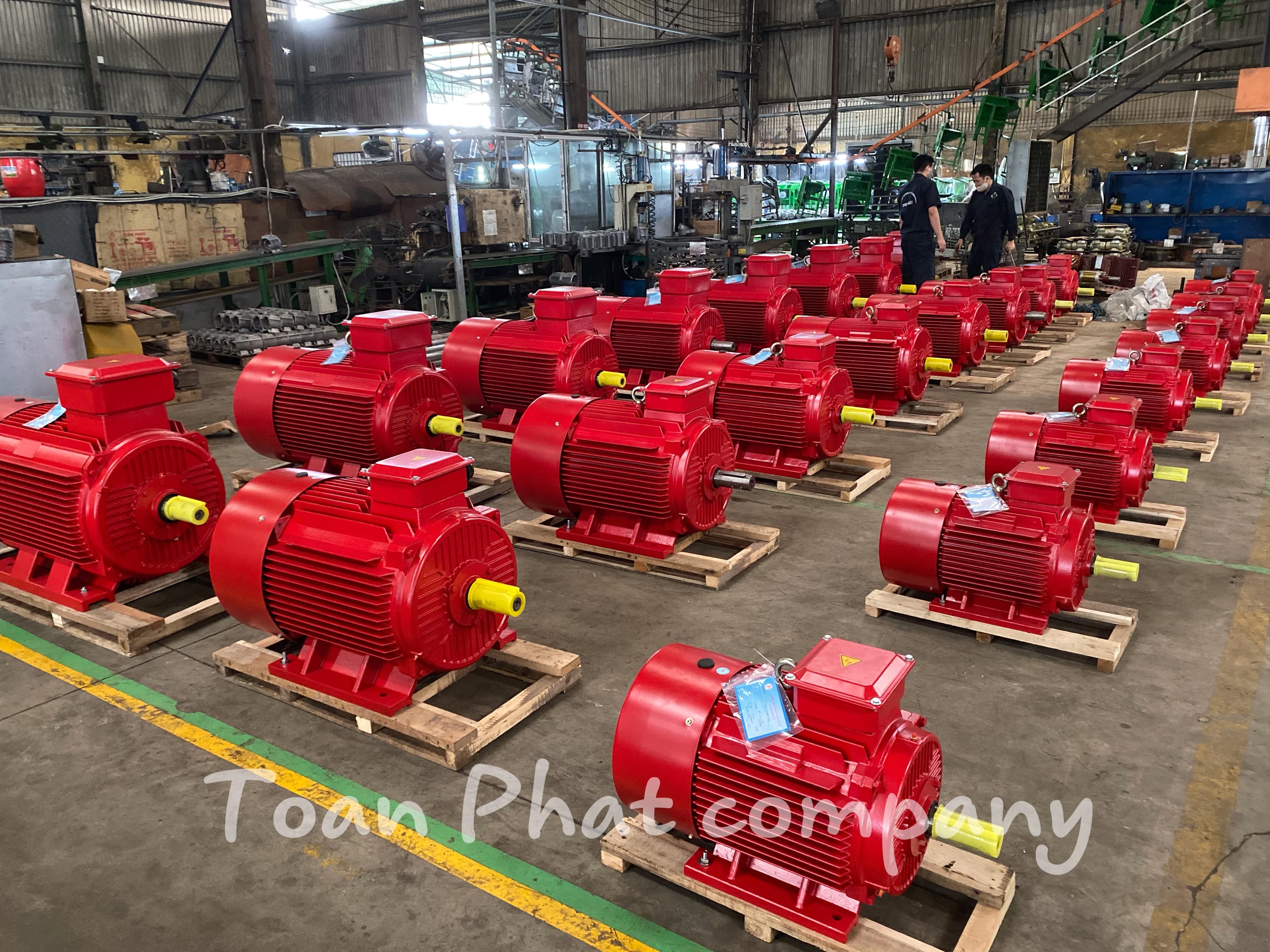 Động cơ điện Toàn Phát- thị phần số 1 Việt Nam