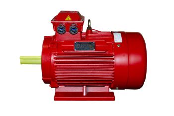 Động cơ 2 cấp tốc độ 22kW/55kW-6/4P Chịu Nhiệt 300°C - Hộp cực liền - Hộp cực rời