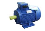 4.0 kW Motor – 3000 RPM